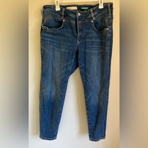 Pilcro Anthropologie Jeans size 18W
